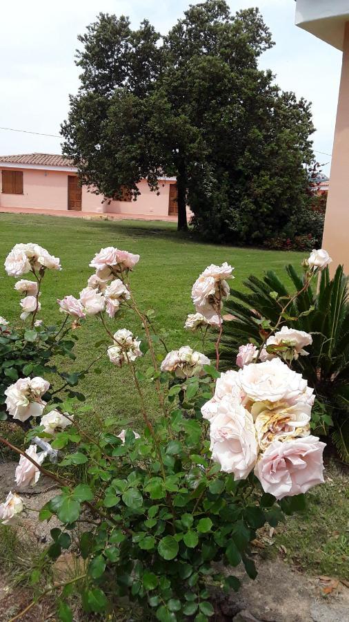 Hotel Pinocchio Arzachena Luaran gambar